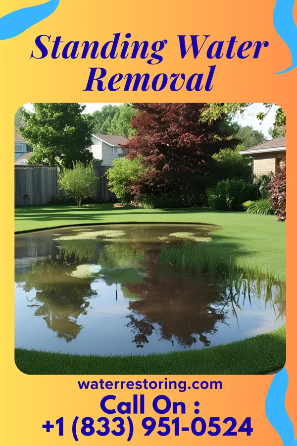 Standing Water Removal in Estherwood, LA